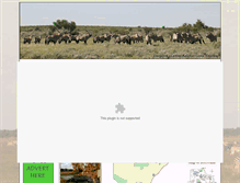 Tablet Screenshot of botswanawildlife.com